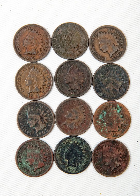 Indian Head Pennies- 1888-1907