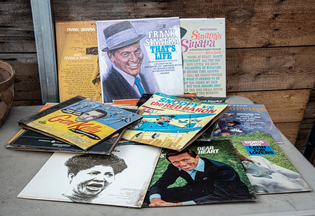 Record Collection- 20 Records