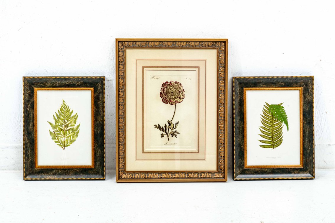 Framed Botanical Plate Prints