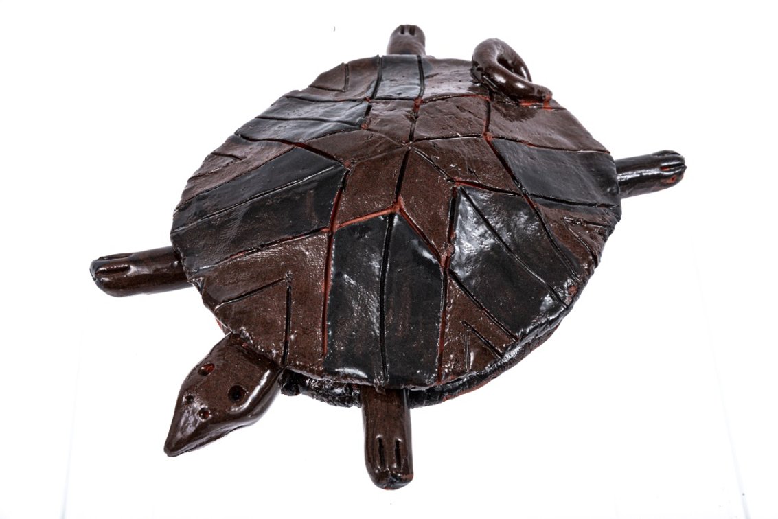 Dale Hinsley #1 Turtle