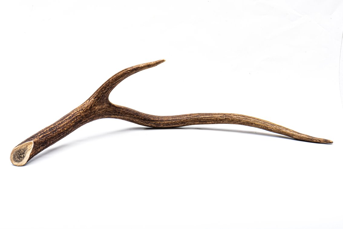 Elk Antler Knife Display