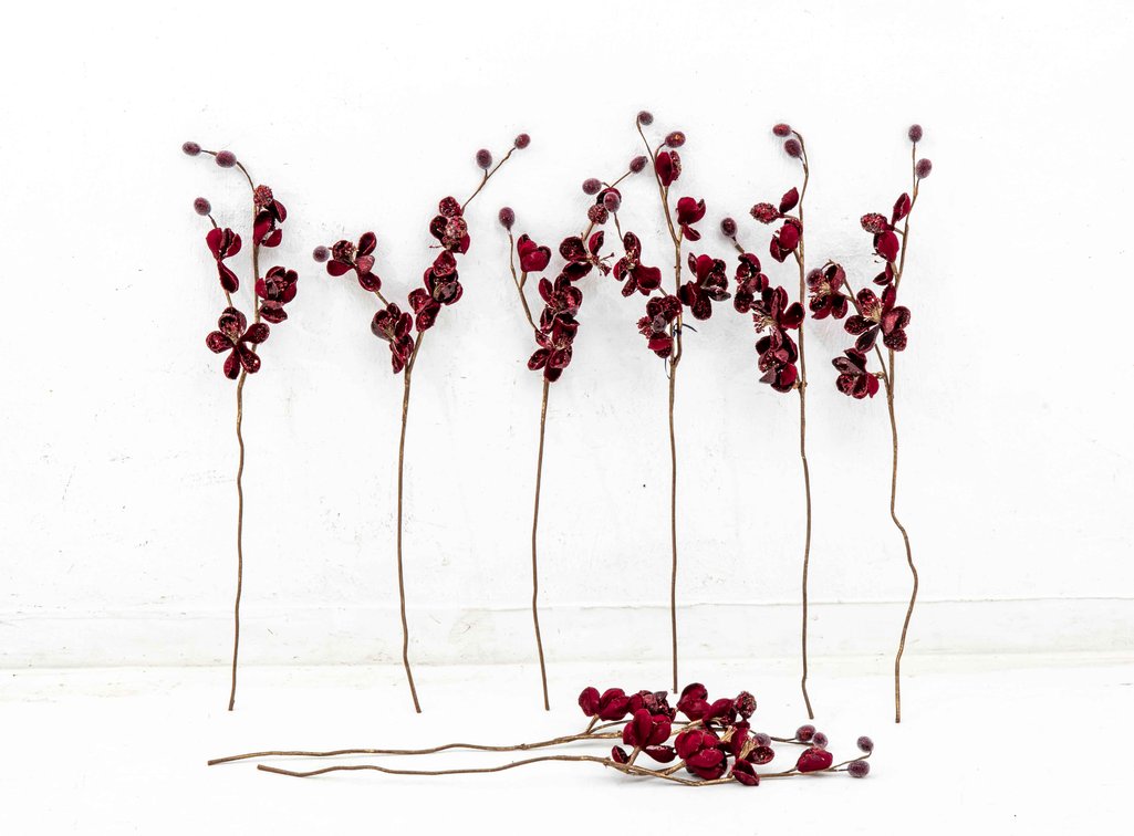 Lot of Eight (8) Wild Mini Magnolia - Burgundy