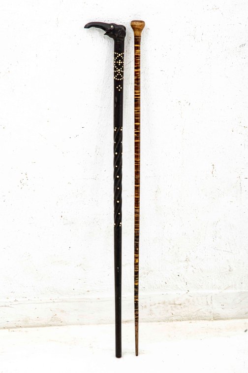 Two African Canes- Horn & Ebony