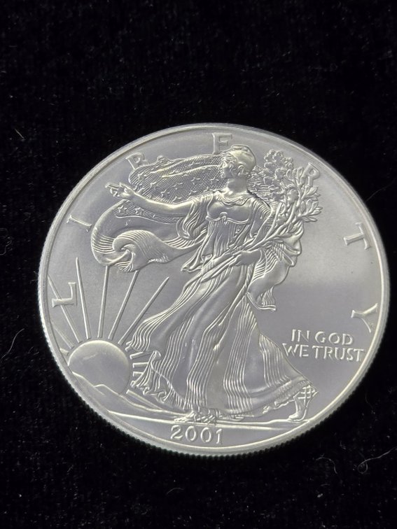 2001 American Silver Eagle 1 oz Bullion Coin