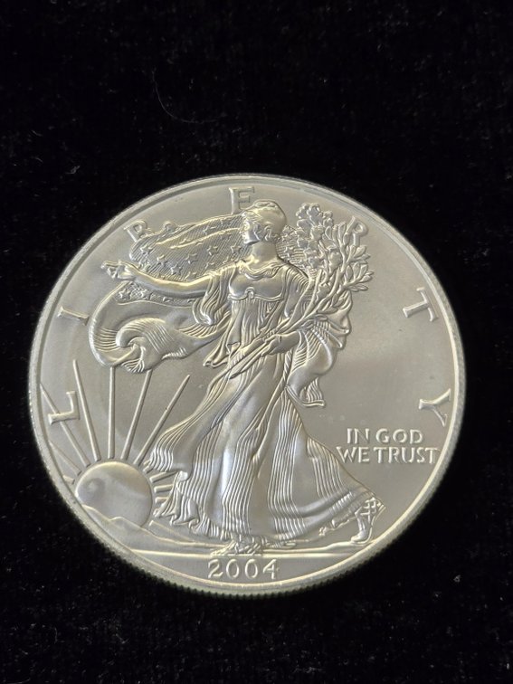 2004 American Silver Eagle 1 oz Bullion Coin