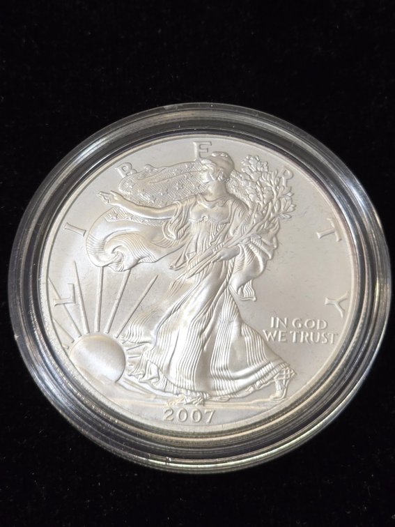 2007 American Silver Eagle 1 oz Bullion Coin