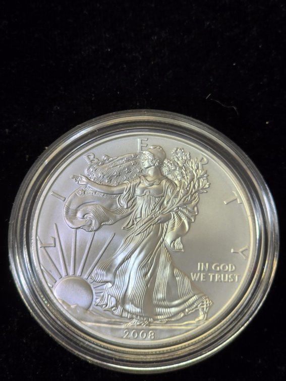 2008 American Silver Eagle 1 oz Bullion Coin