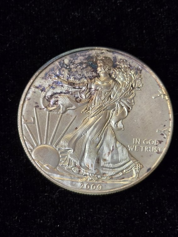 2009 American Silver Eagle 1 oz Bullion Coin