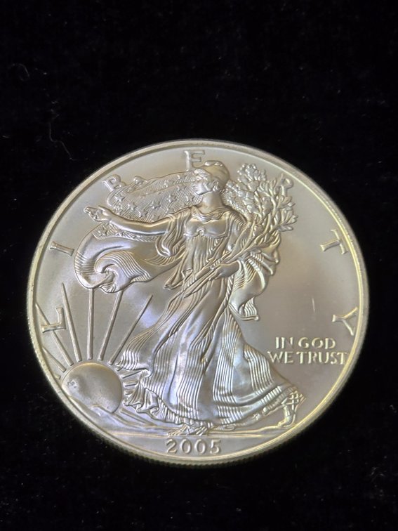 2005 American Silver Eagle 1 oz Bullion Coin