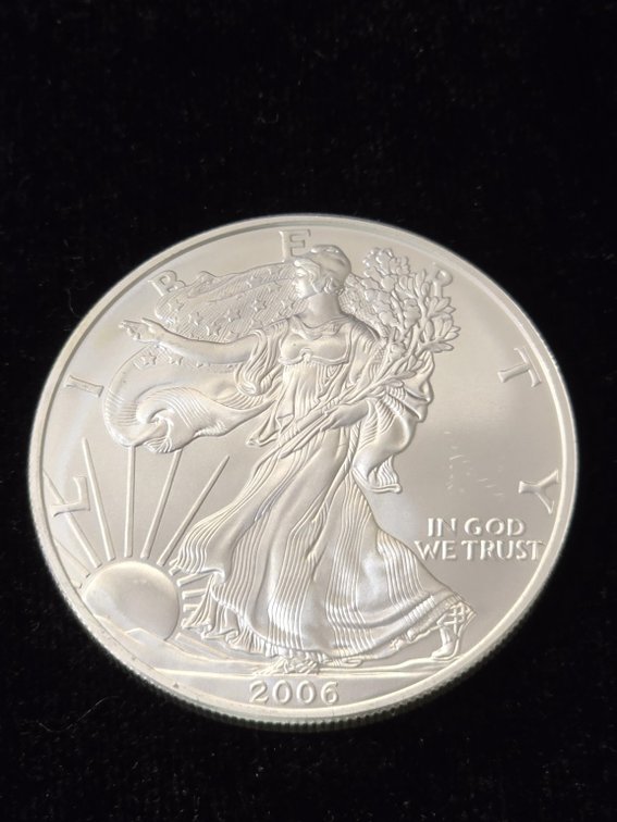 2006 American Silver Eagle 1 oz Bullion Coin