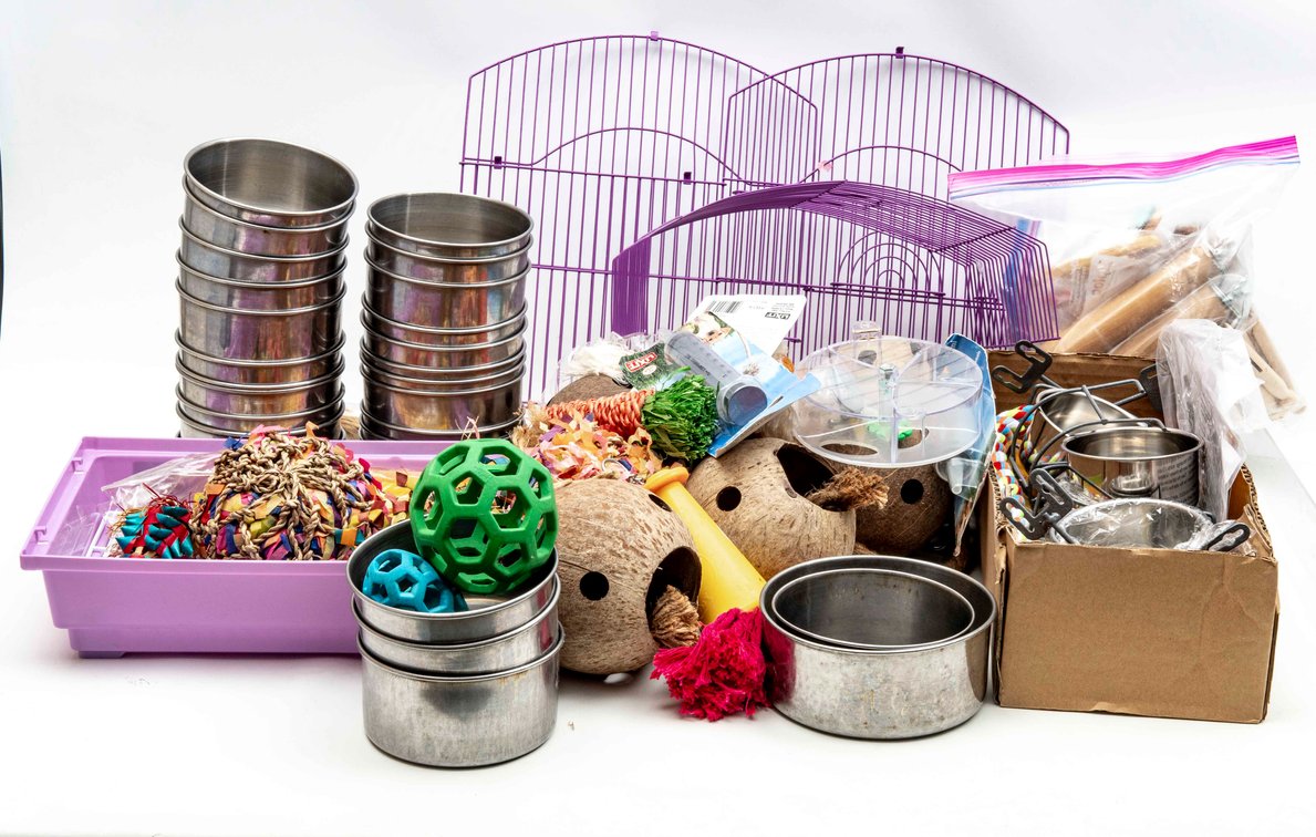 Pet Bird Toys, Enrichment & Entertainment