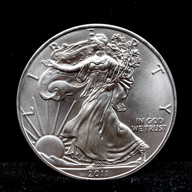 2011 American Silver Eagle 1 oz $1 Bullion Coin