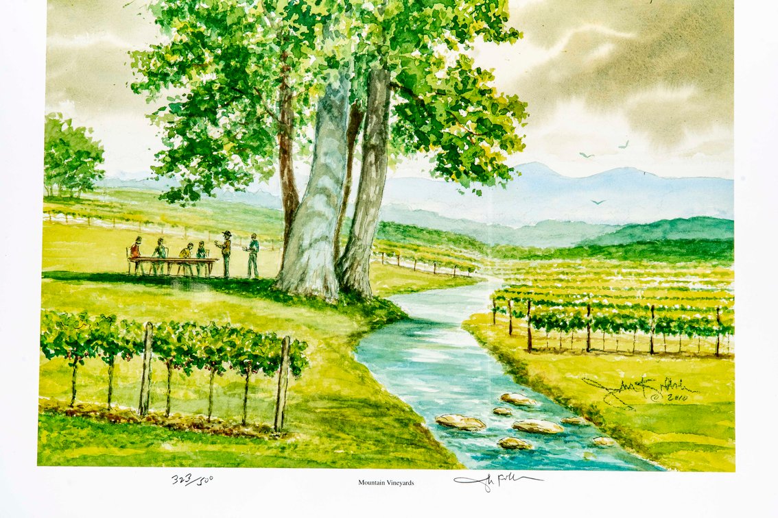 John Kollock S/N Print - Mountain Vineyards