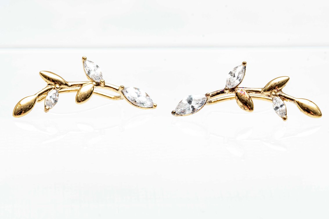 Bella Luce- Eterno Sterling Climber Earrings-1.5 G