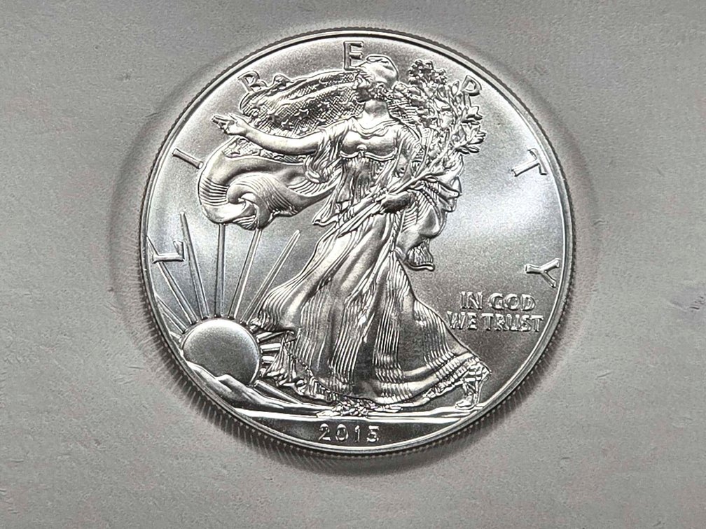 2015 American Silver Eagle 1 oz Silver Bullion Coin