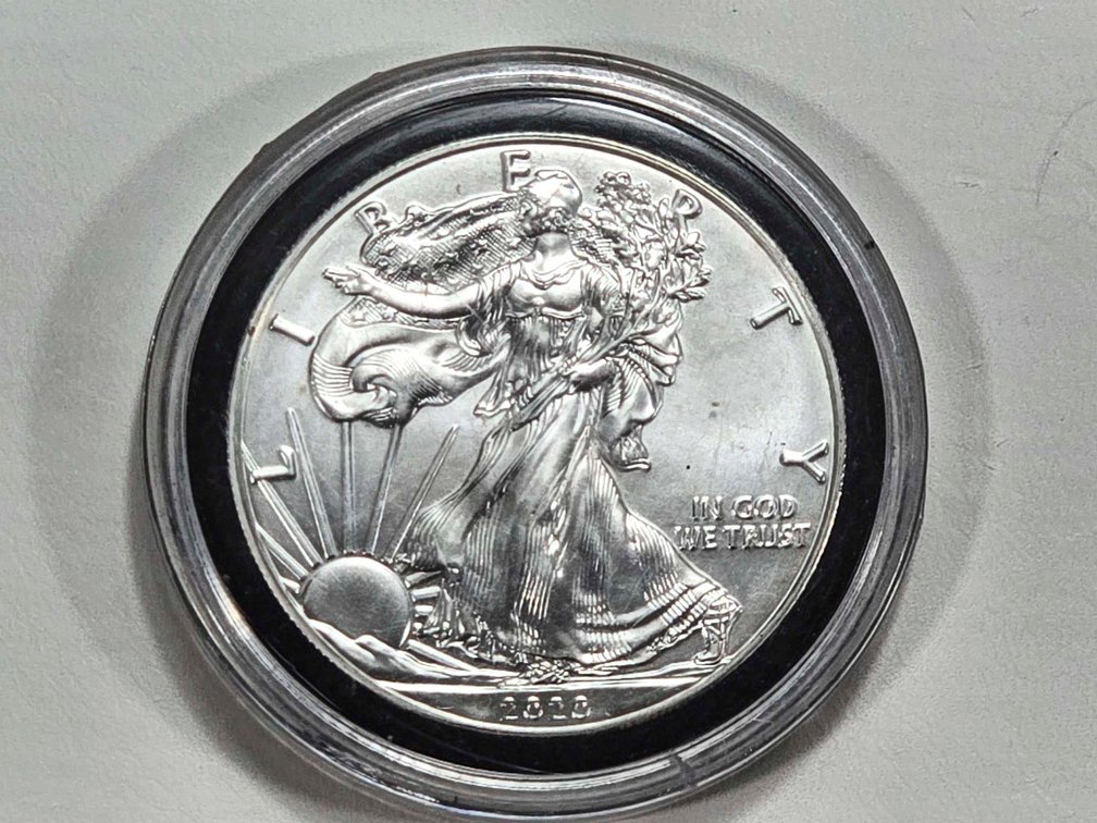 2020 American Silver Eagle Type 1 in Protective Ca