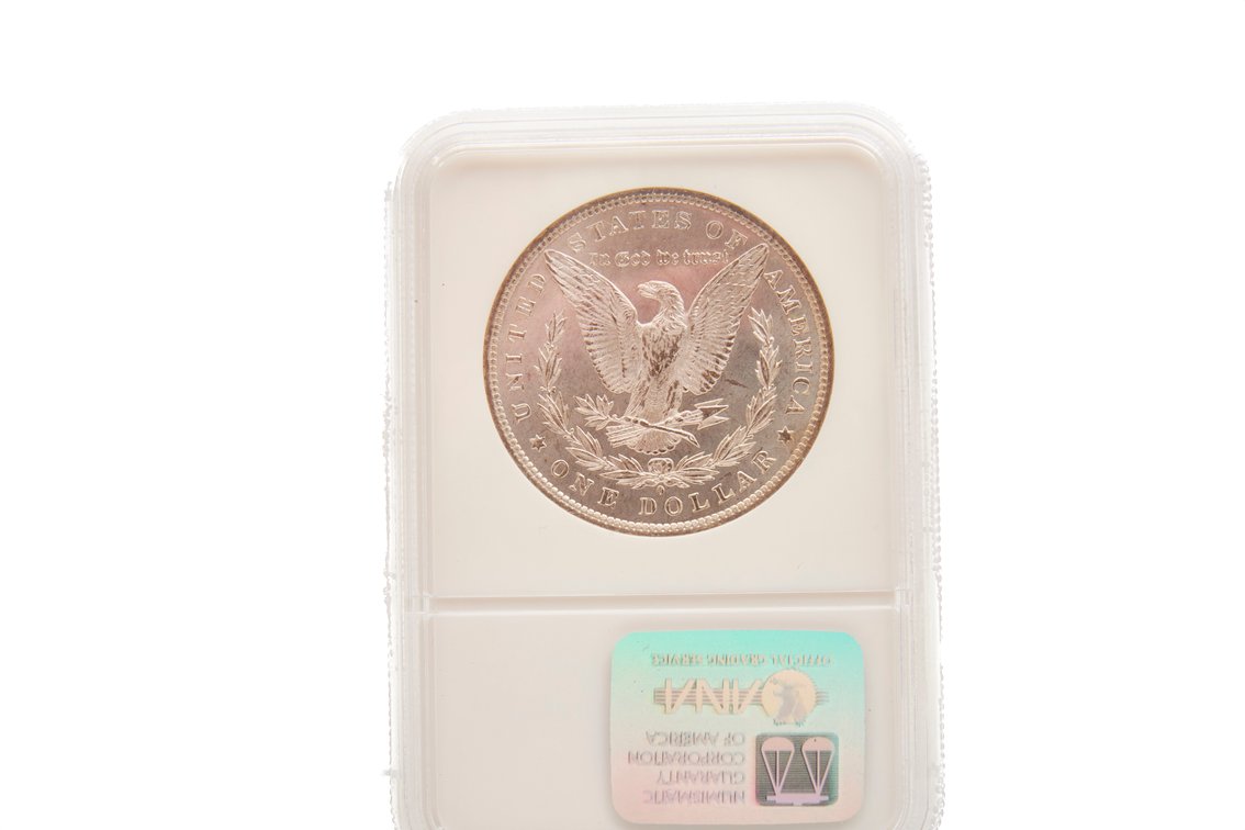 Slabbed 1884-O Morgan Silver Dollar