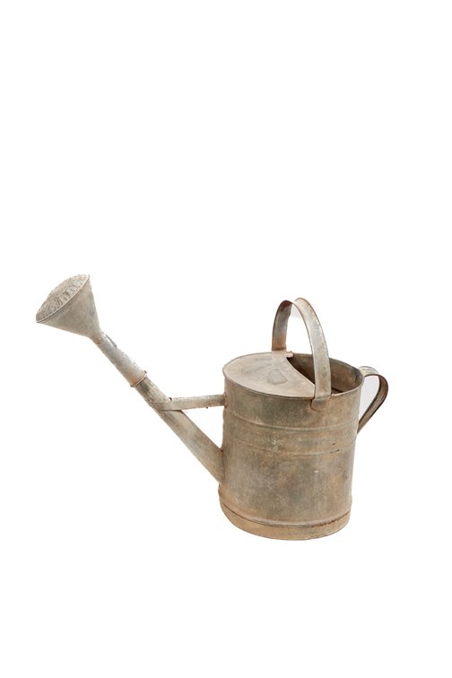 Vintage Galvanized Watering Can w/ Shower Head
