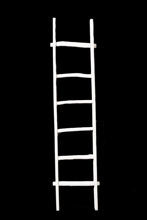 76" tall White Painted Ladder with Limb Rungs