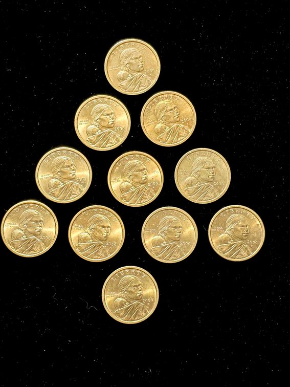 11 Sacagawea Dollar Coins