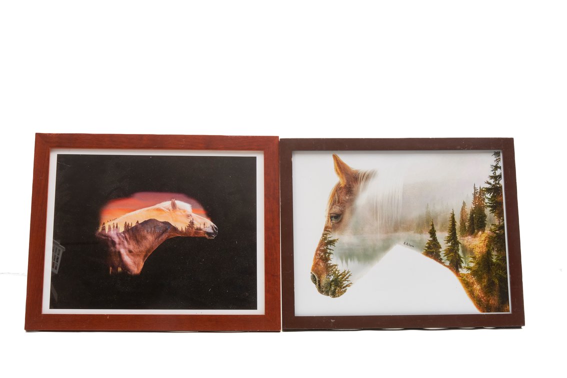 2- A.A.Lynn- Horse Landscape Framed Prints