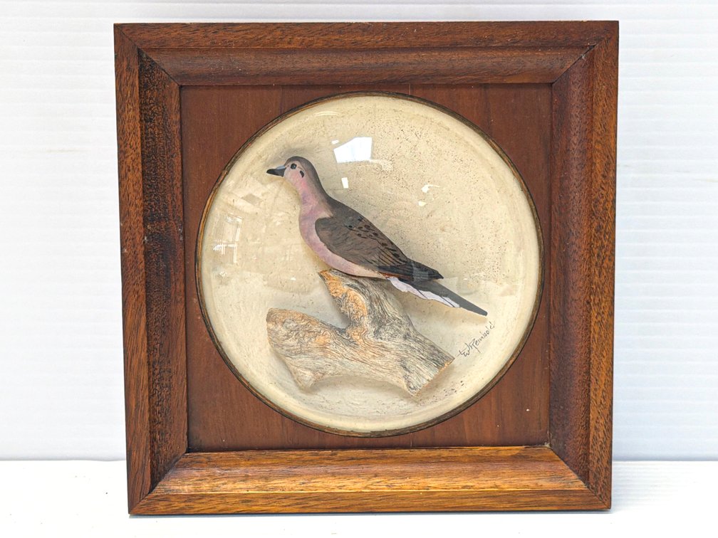 Mid-Century Diorama with Carved Wooden Mourning Dove by William ‘Bill’ Reinbold