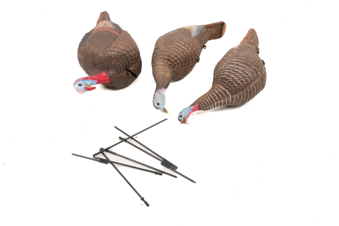 Three Wild Turkey Hunting Decoys