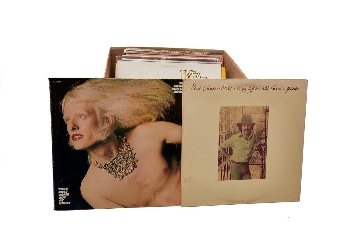 Vinyl Records Assorted Lot