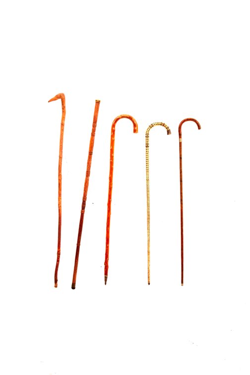Unique Cane Collection- Vertebrae, Bentwood & more