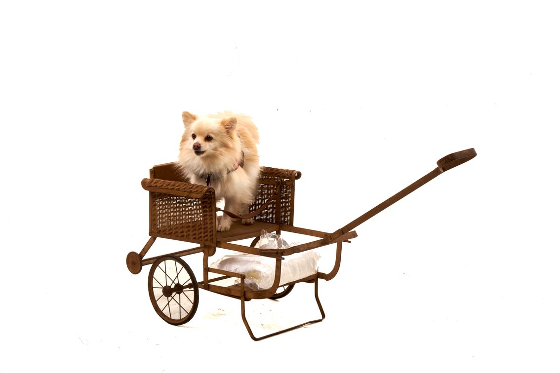 Folding Victorian Style Wicker Pull Carriage