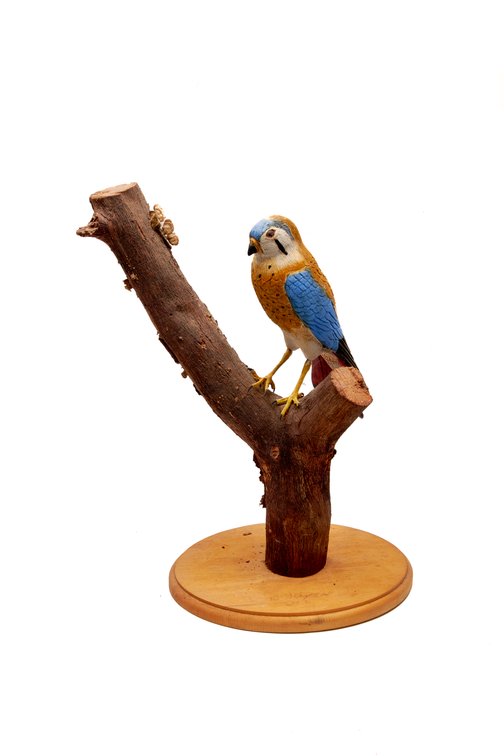 Hand Carved Kestrel Bird Sculpture- W. Kilgore