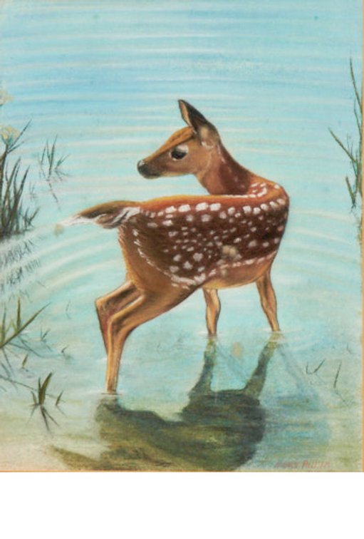 Framed Pastel Deer Artwork Signed Nancy Pulliam