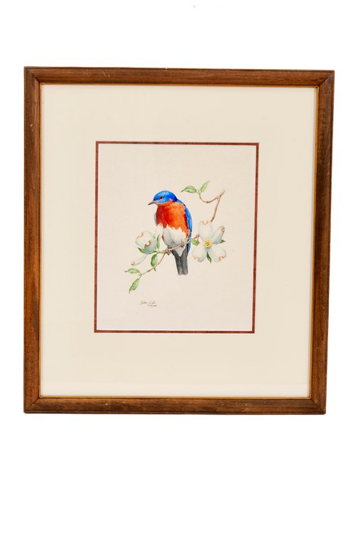 Framed Watercolor of Eastern Bluebird by John Sill