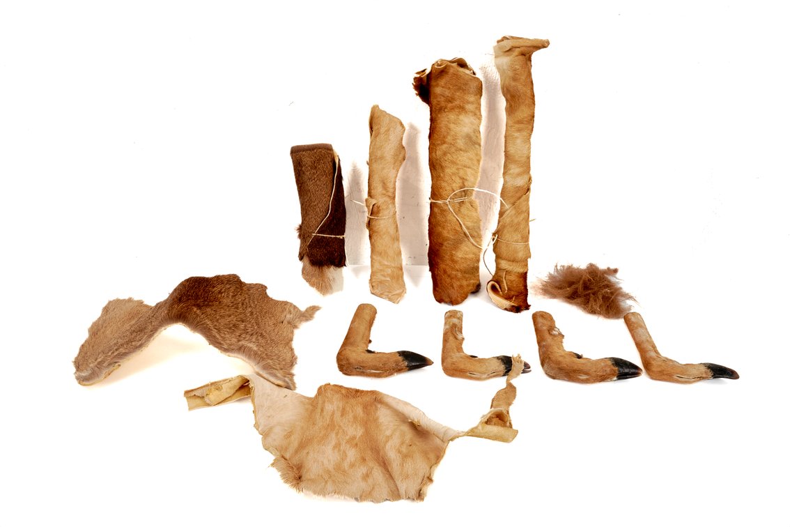 Deer Hooves, Fur on Hides and More