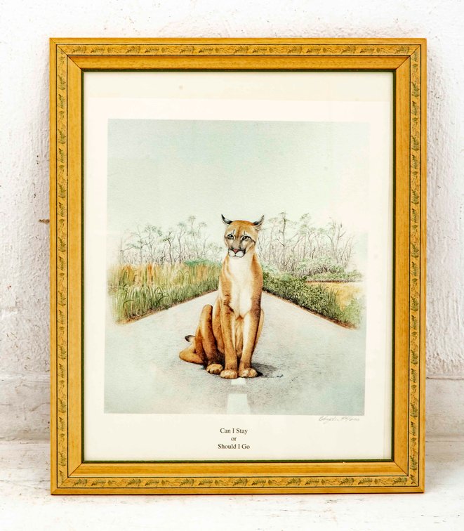 Signed & Numbered Print Of Cougar By E. Snyder