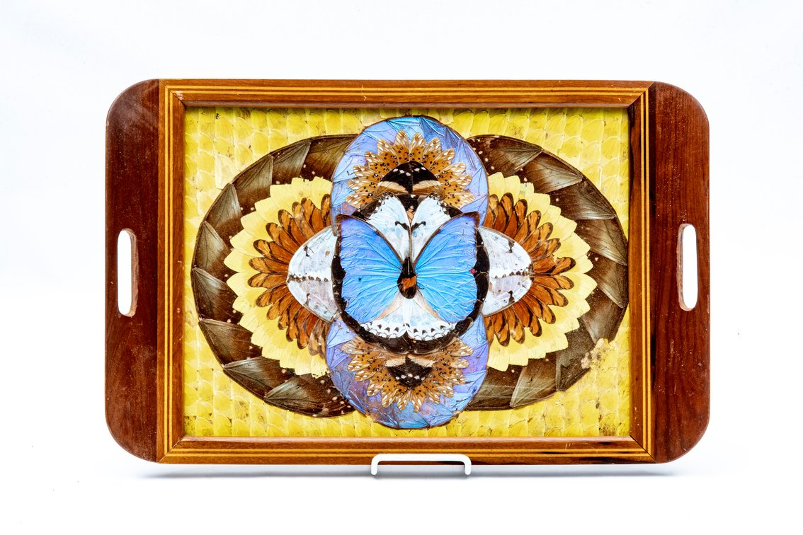 Stunning Art Deco Butterfly/Moth Wing Inlaid Tray