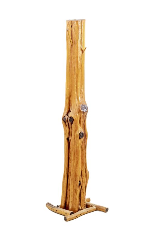 Wooden Trunk Coat Rack