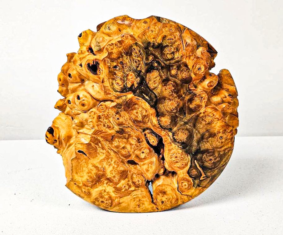 Signed Warren Vienneau Turned Burl Wood Vase