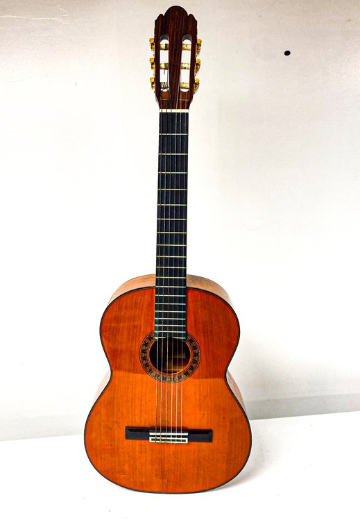 Alvarez Natural Classical Acoustic Guitar Model 5202 with Case
