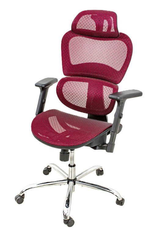 Ergonomic Executive High Back Office Chair