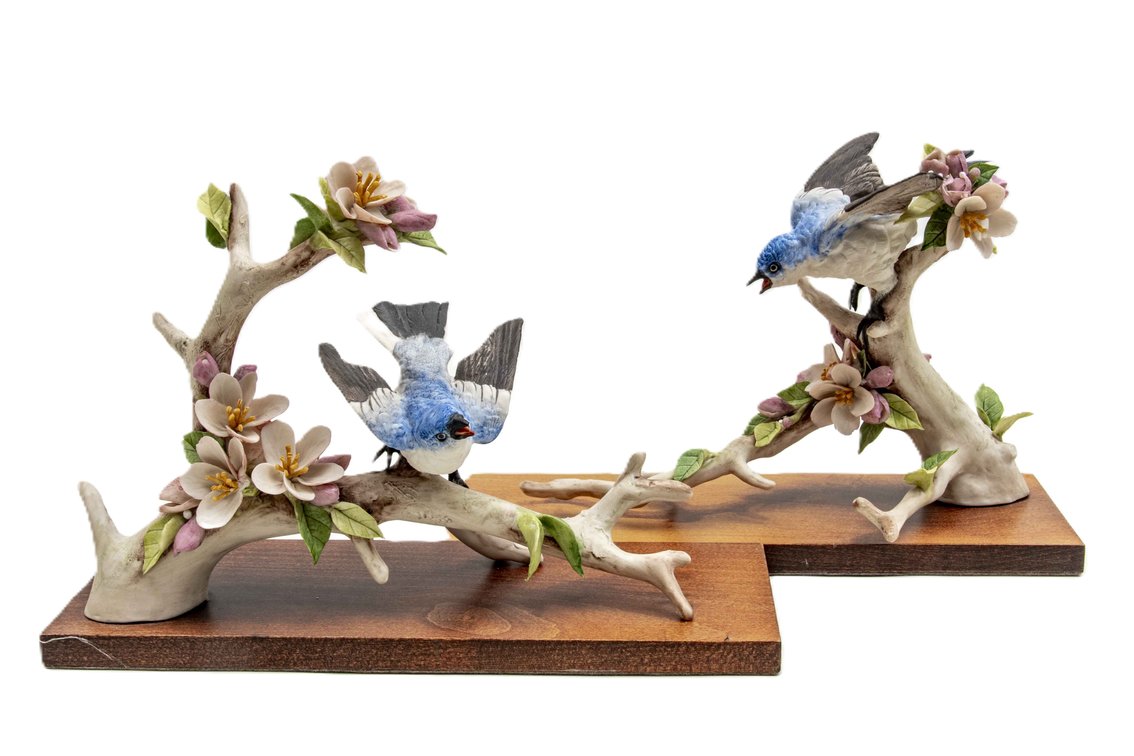 Cybis Blue-Gray Gnatcatchers Pair on Base
