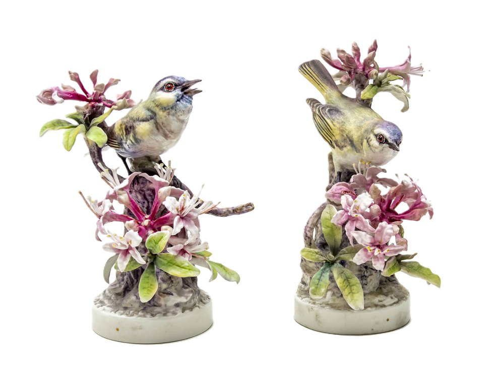 Royal Worcester Dorothy Doughty Red Eye Vireo Pair