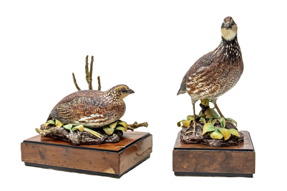 Royal Worcester Bob-White Quail Pair