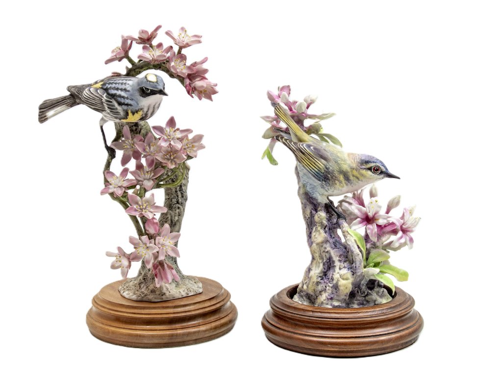 Royal Worcester Myrtle Warbler & Red Eye Vireo