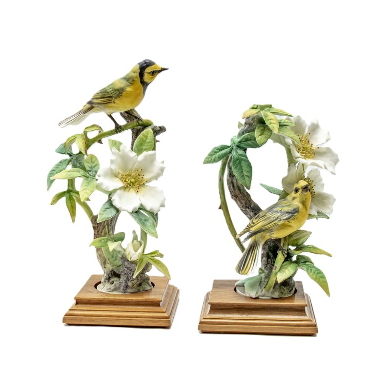 Royal Worcester Hooded Warblers with Cherokee Rose