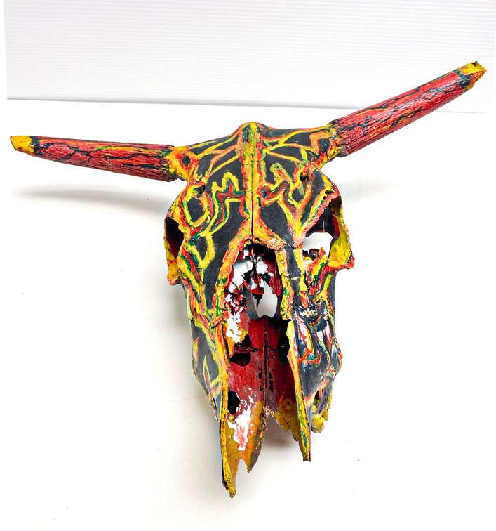 Hand-Painted Steer Skull with Horns