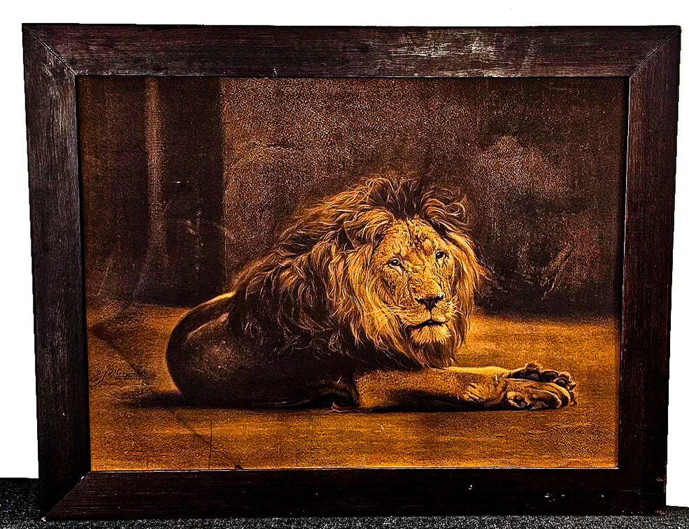 Vintage Morgan Lith Co. Framed Lion Print