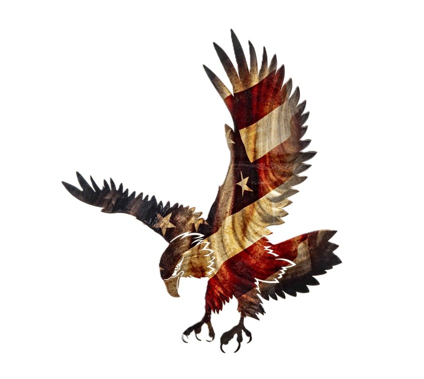 American Flag Bald Eagle Powder Coated Steel Art