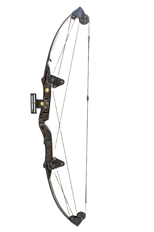 Whitetail Hunter Compound Bow by Bear Archery