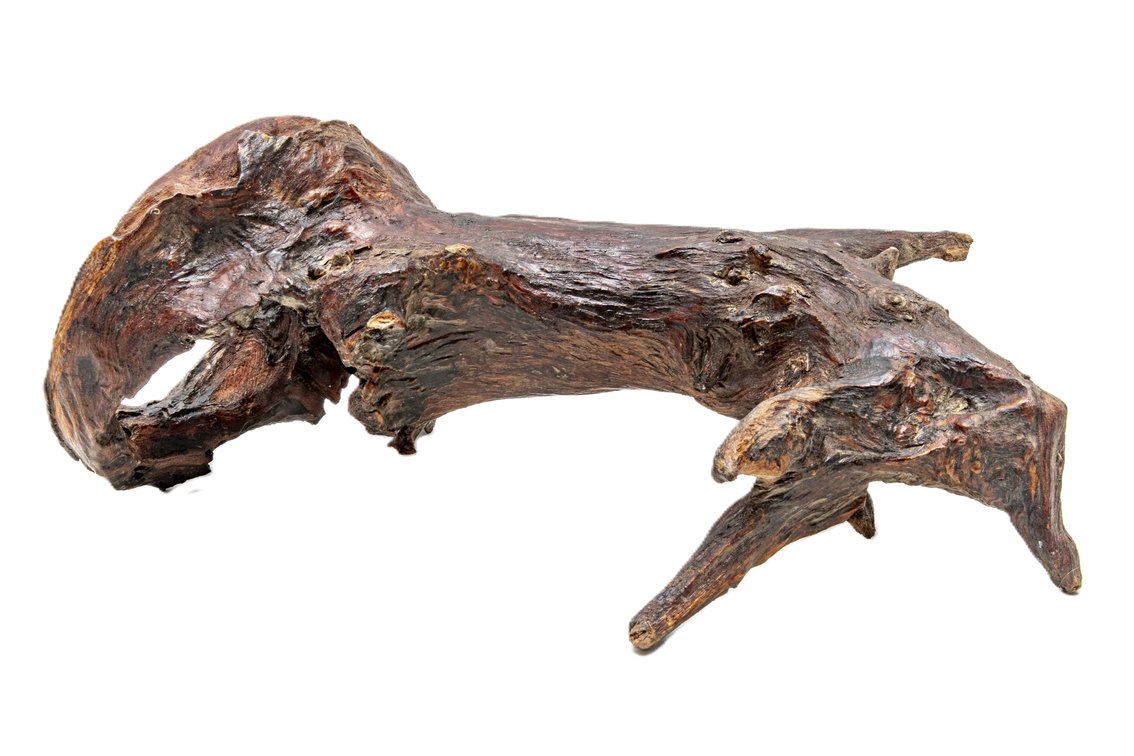 Unique Piece of Driftwood